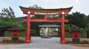 Miyawaki Forest